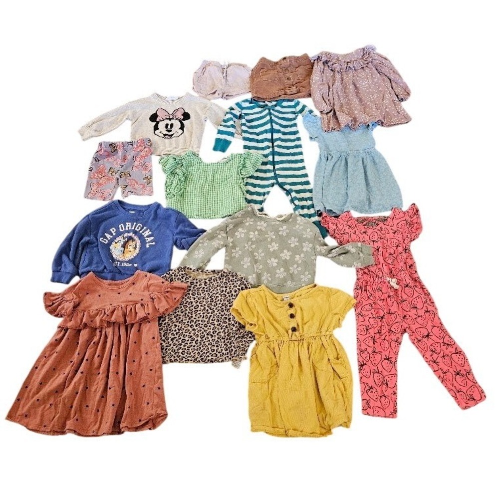 Toddler Girls Clothing Lot 2T Hanna Andersson Gap Bluey Minnie Mouse 14pc